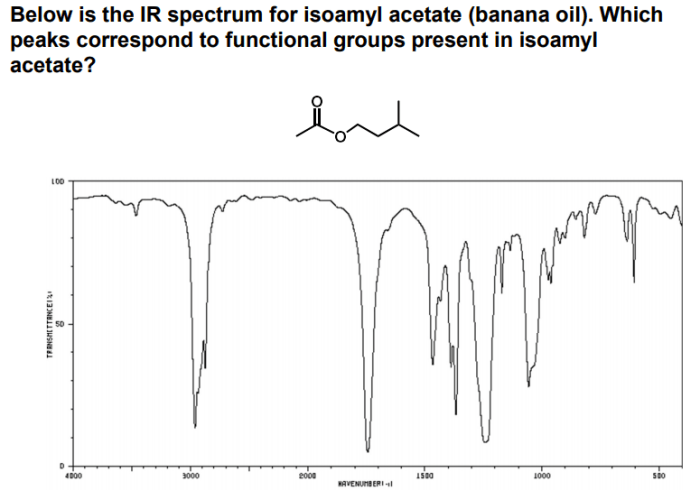 Acetate cinnamyl ir1 spectrum information reference chemicalbook