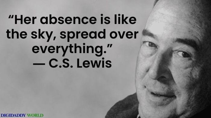 C s lewis a grief observed quotes