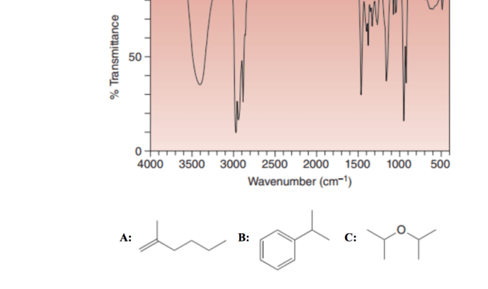 Which compound matches the ir spectrum