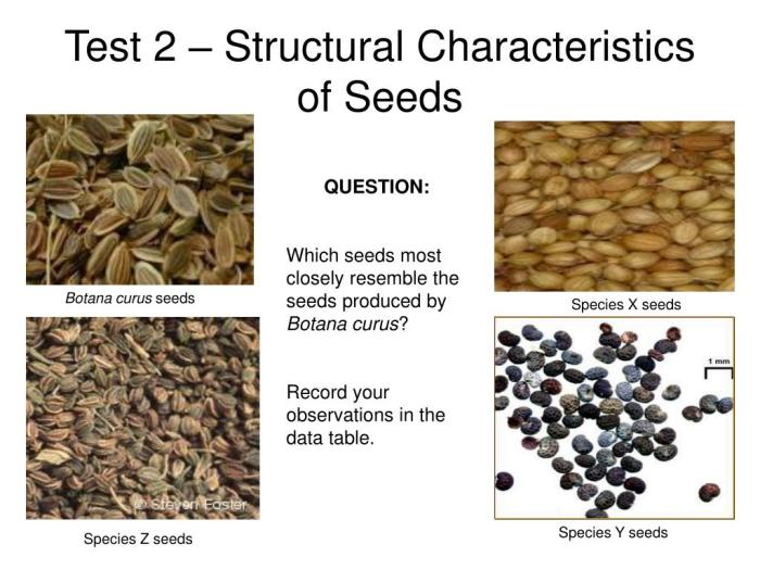 Relationships and biodiversity lab answers