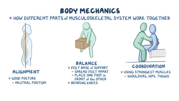 Safety and body mechanics chapter 7