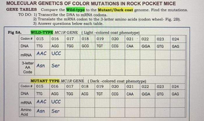 Molecular genetics of color mutations in pocket mice